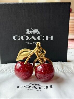 🍒 COACH CHERRY BAG CHARM KEYCHAIN 🍒 NWOT 🍒